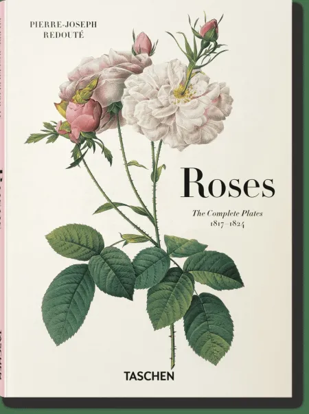 Redoute. Roses