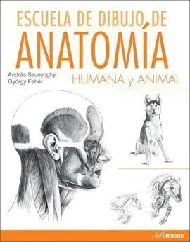 Escuela Dibujo Anatomia Humana y Animal