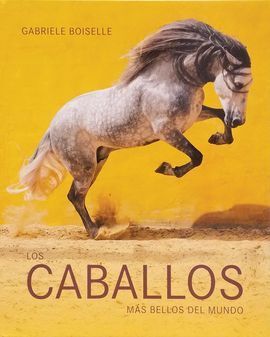 LOS CABALLOS MAS BELOS DEL MUNDO