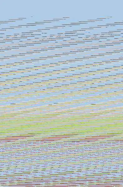 Zapatos Nuevos y Sopa de Almendras