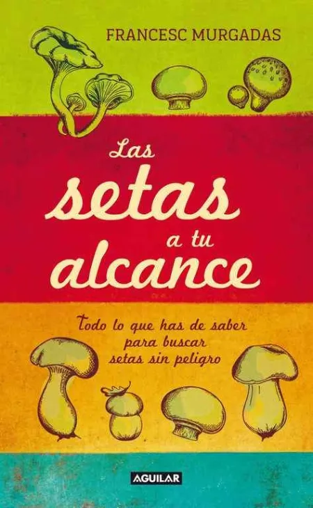Las Setas a tu Alcance