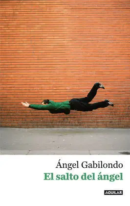 El Salto del Ángel. Palabras para Comprendernos