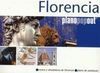 GUÍA POPOUT FLORENCIA PLANO