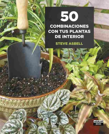 50 Combinaciones con Tus Plantas de Interior