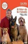 EL LÍDER DE LA MANADA
