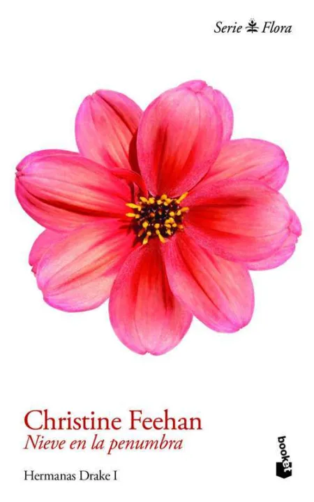 Nieve en la Penumbra