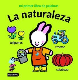 DODÓ: LA NATURALEZA