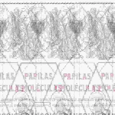 Papilas y Moleculas