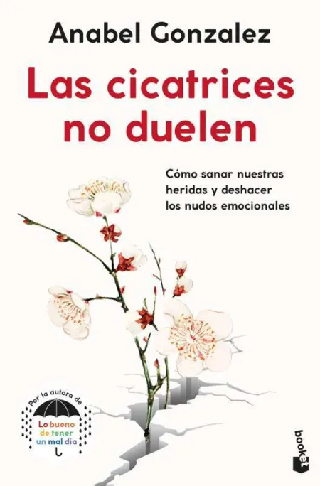 Las Cicatrices no Duelen