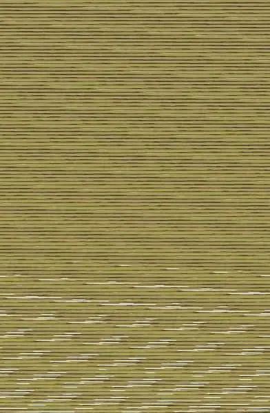 Mi Inquieta Escocesa