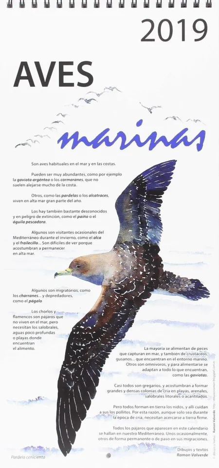 Aves Marinas