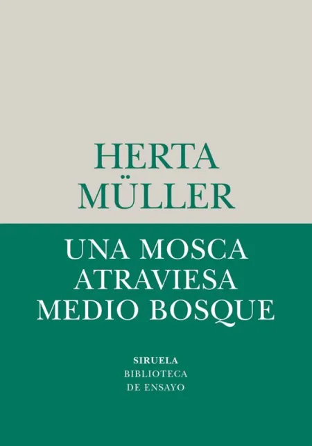 Una Mosca Atraviesa Medio Bosque