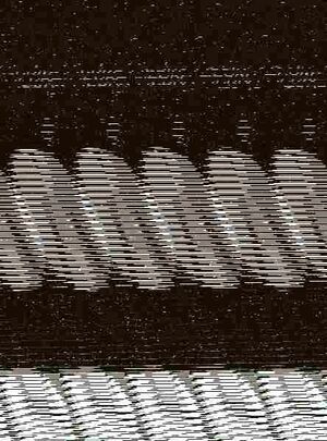 COMO SOBREVIVIR EN EL NORTE