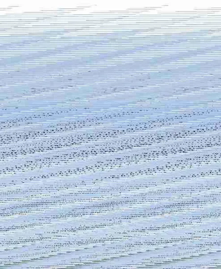 Estuche Jane Austen - Obras Completas