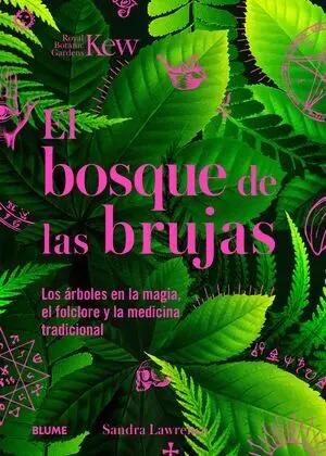 Bosque de las Brujas