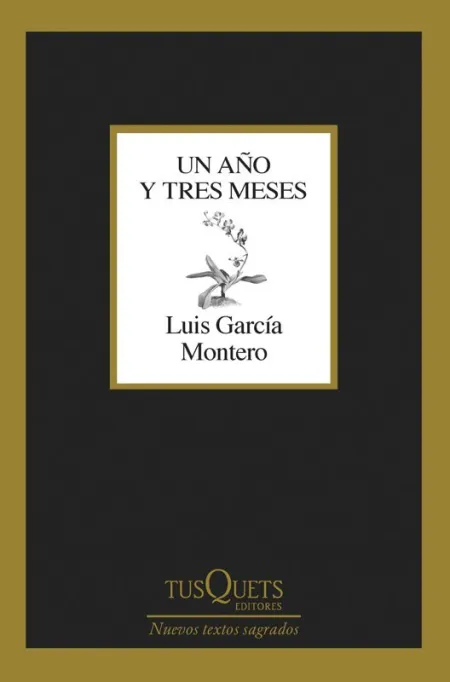 Un Año y Tres Meses