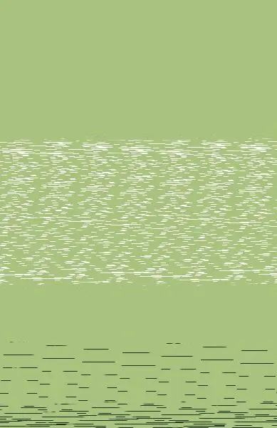 ¿Por qué las Cebras no Tienen Úlcera?