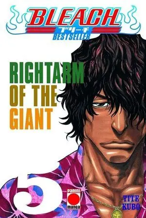 Bleach Bestseller 05