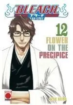 Bleach Bestseller 12