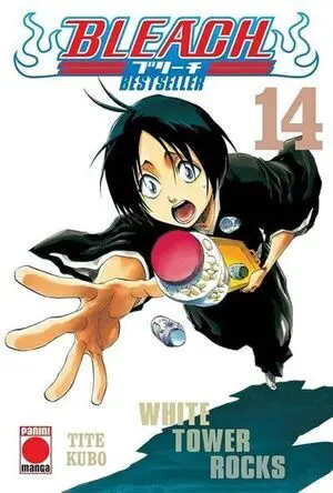 Bleach Bestseller 14