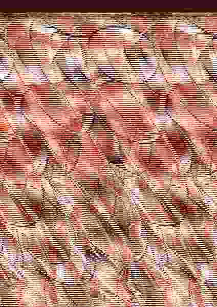 Saint Seiya. Los Caballeros del Zodíaco (Final Edition) Nº 05