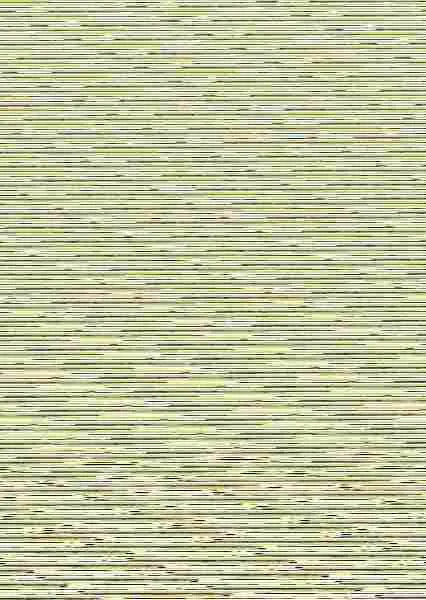 Kase y el Bentô Nº 02/05