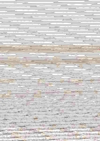 El Viaje de Elaina Nº 02/06