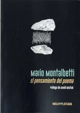 El Pensamiento del Poema