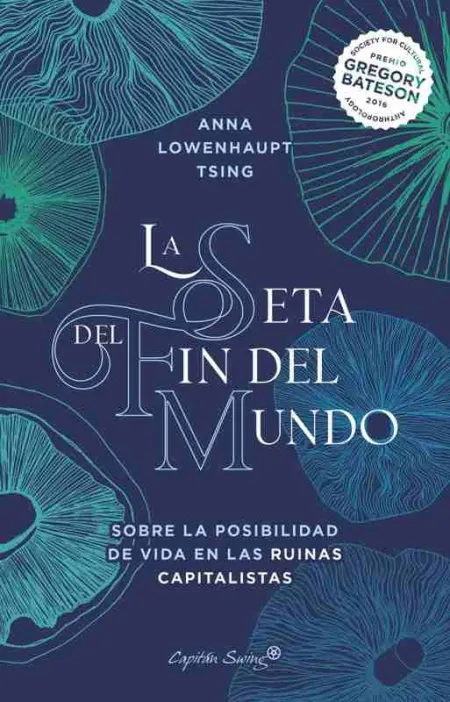 La Seta del Fin del Mundo