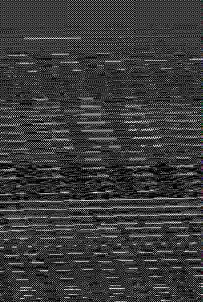 Experimento de Amor en Nueva York