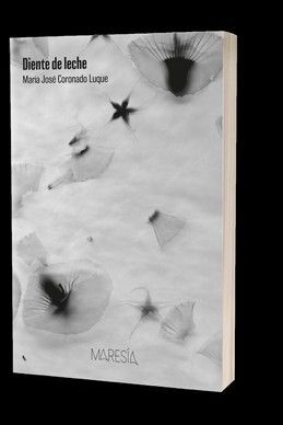 DIENTE DE LECHE