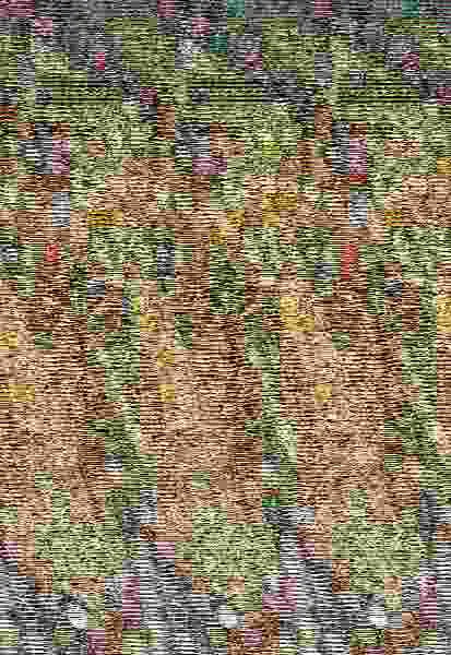 Papisas y Teólogas Nueva Edición Color