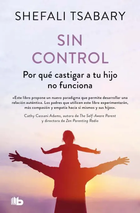 Sin Control