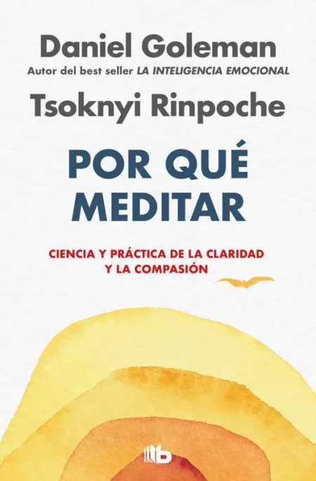 Por qué Meditar