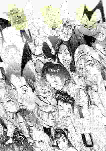 Naoki Urasawa: Guía Oficial