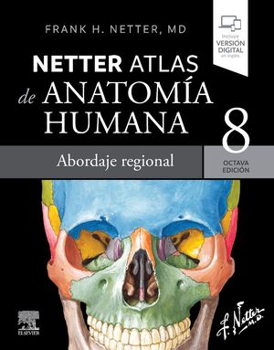 NETTER. ATLAS DE ANATOMÍA HUMANA. ABORDAJE REGIONAL