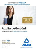 AUXILIAR DE GESTIÓN II DEL PATRONATO DE RECAUDACIÓN PROVINCIAL DE LA DIPUTACIÓN
