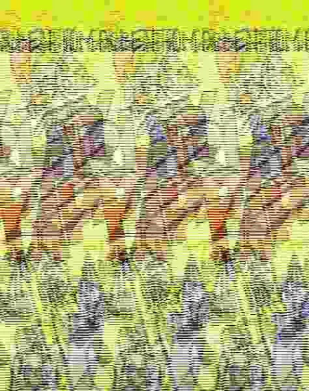 Arley y Tapper: una Aparición Estelar