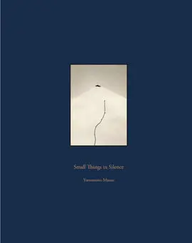 Smalls Things In Silence