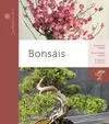 Bonsais