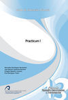 PRACTICUM I