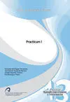 Practicum I