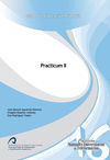 PRACTICUM II