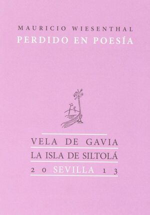 PERDIDO EN POESÍA