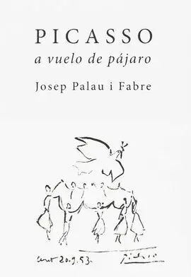 Picasso a Vuelo de Pajaro