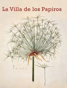 Villa de los Papiros