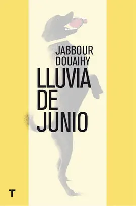 Lluvia de Junio