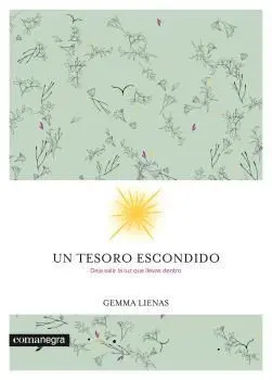 Un Tesoro Escondido