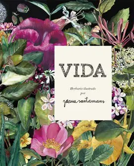 Vida