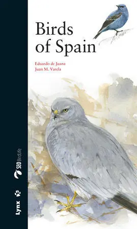 Birds Of Spain